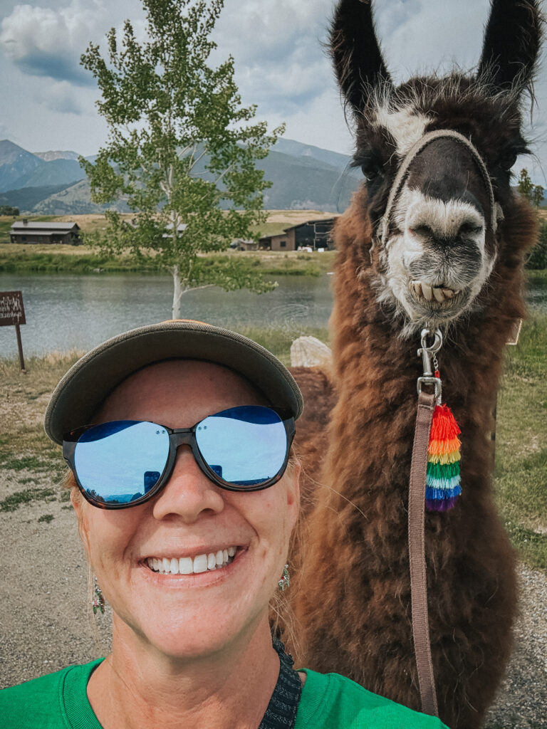 Me and Picasso, the llama on our Montana trip