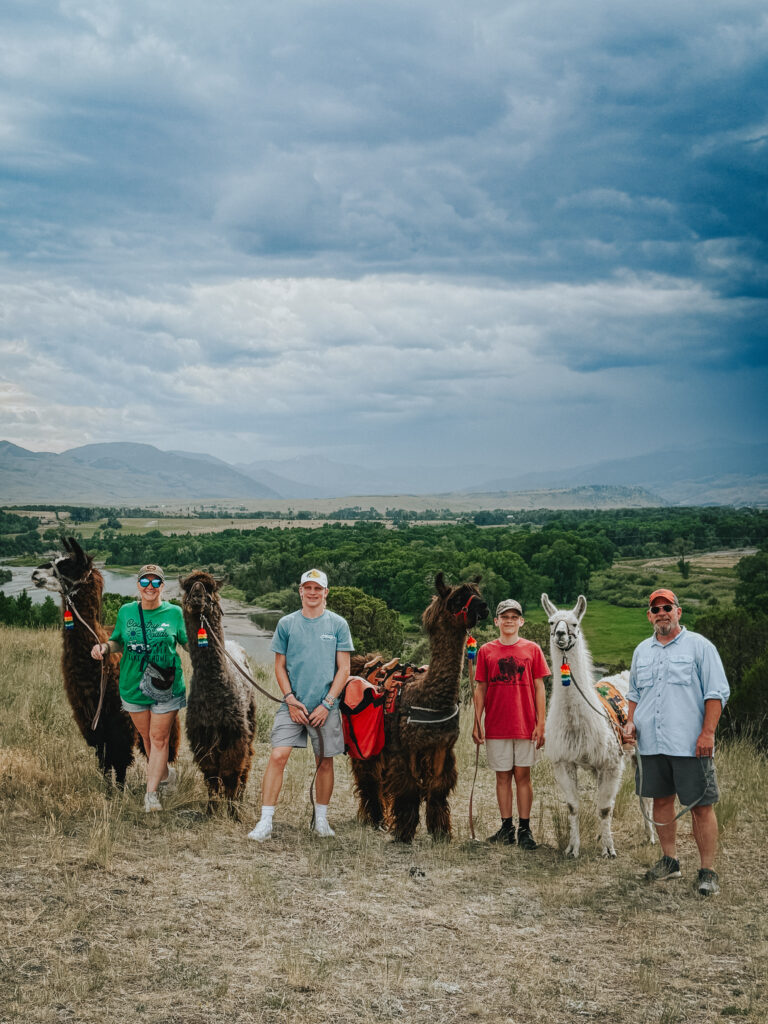 Llama trekking with Yellowstone Llamas during Montana road trip