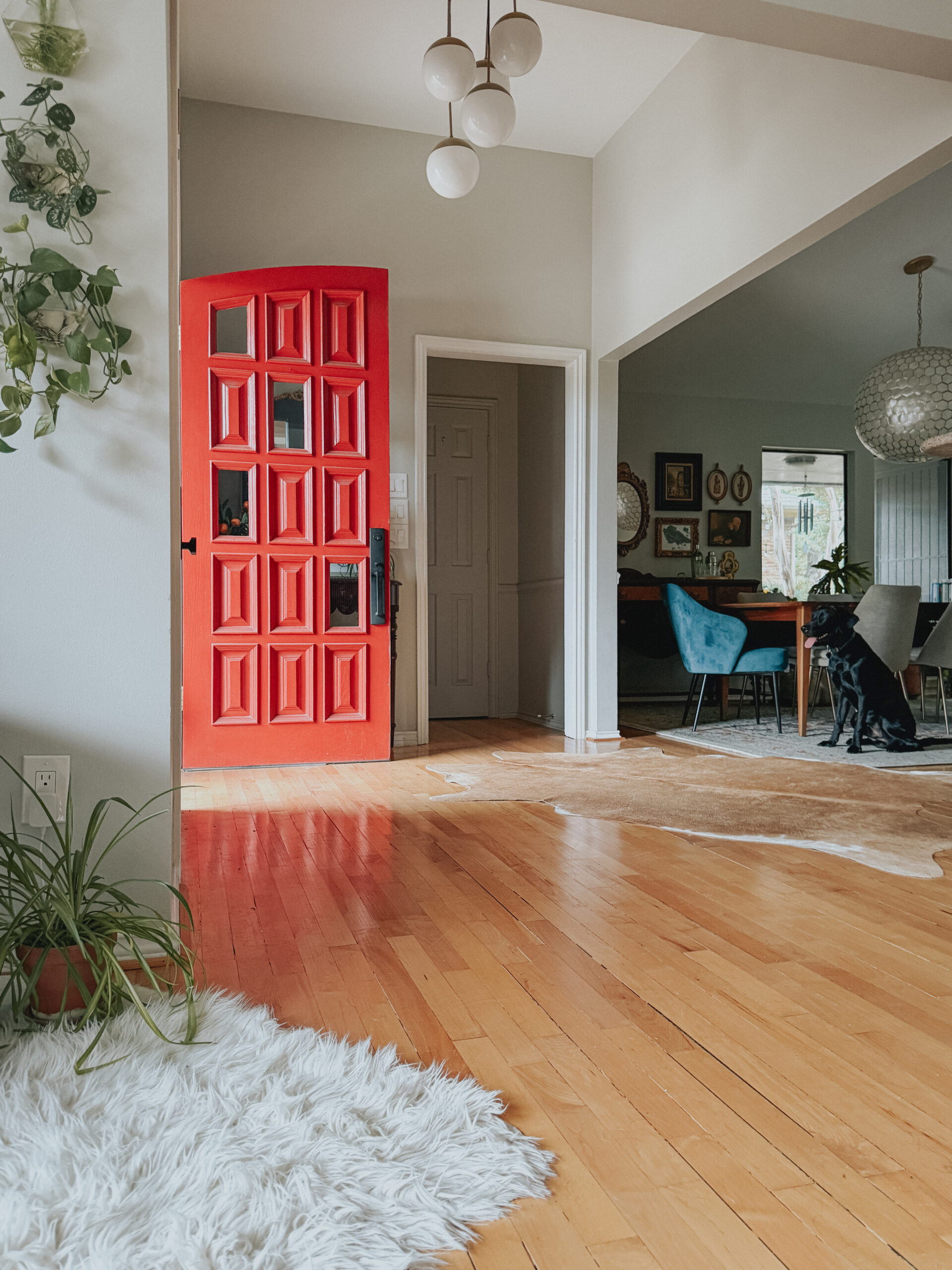 dog sitting on rug in entry with red front door open